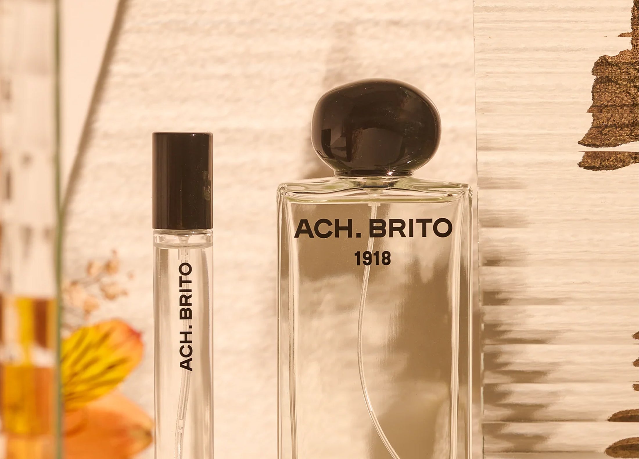 Ach. Brito apresenta nova imagem