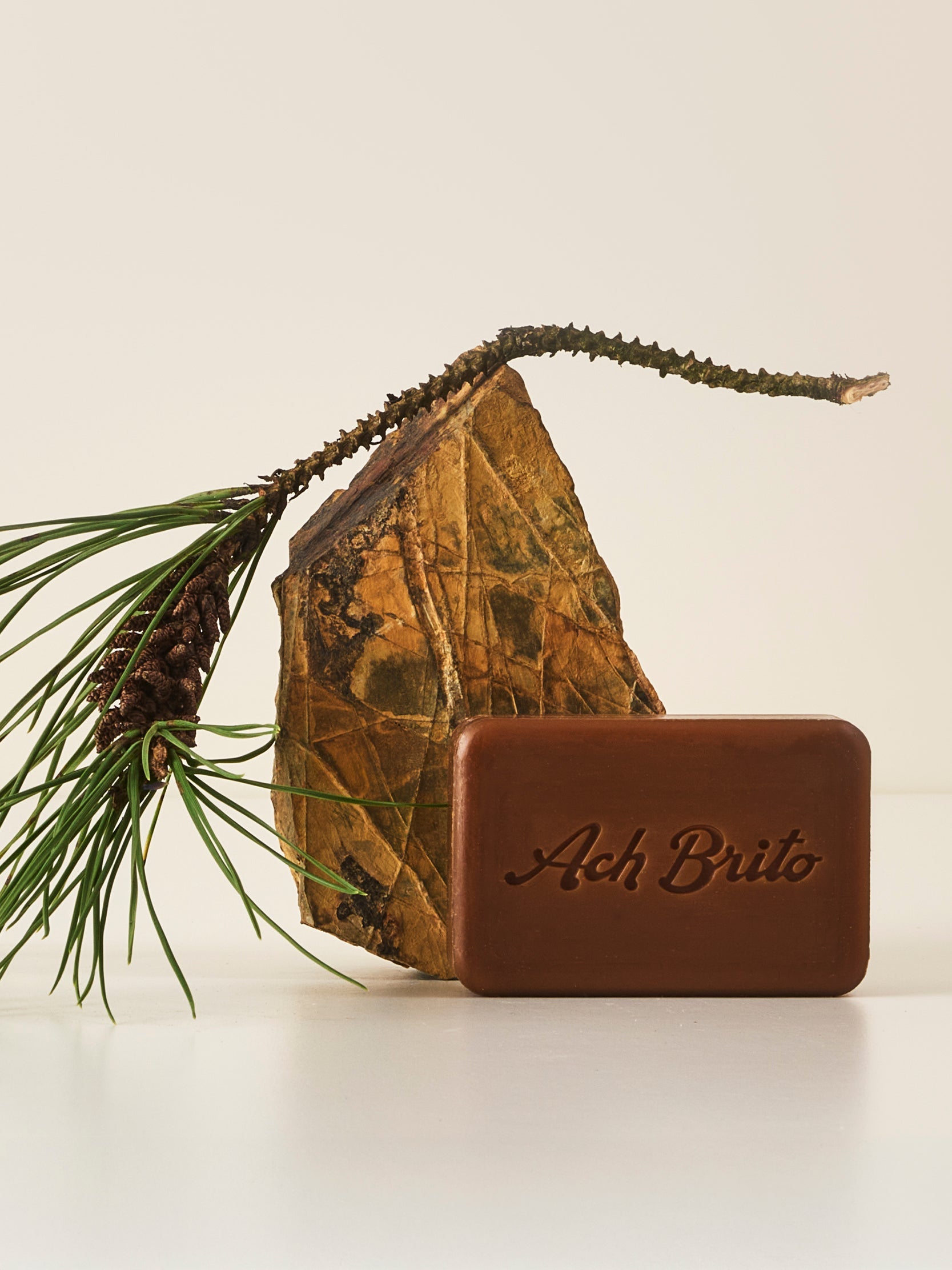 CUIDADOS ESSENCIAIS ALCATRÃO SOAP 90g